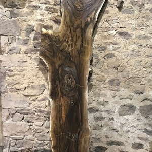 Walnut | Live edge wood | Reclaimed wood slabs | kiln dried wood for sale | Trusted wood suppliers | woodworking source