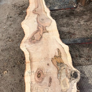 Maple | Live edge wood | Reclaimed wood slabs | Kiln dried wood for sale | Trusted wood suppliers | Woodworking source