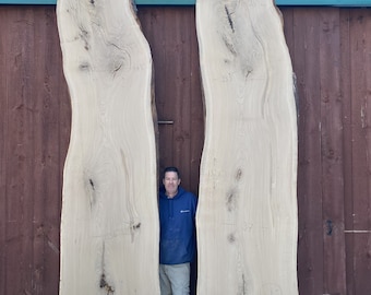 WHITE OAK giant wood slabs