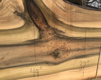 Tulip Poplar | live edge wood | reclaimed wood slabs | kiln dried wood for sale | trusted wood suppliers | woodworking source