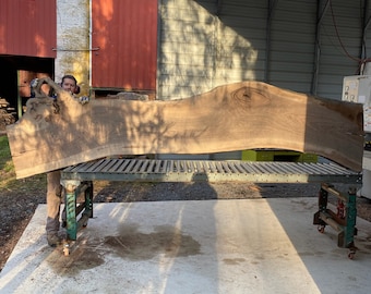 May include: A large, natural wood slab with a unique grain pattern rests on a metal rolling rack. The slab is light brown in color and has a natural, rustic look.