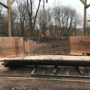 22 Foot long OAK wood slab