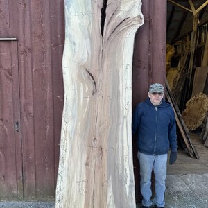 10 Foot live edge wood slabs kiln dried and planed flat
