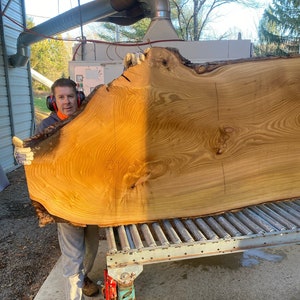 Catalpa wood slab | Live edge wood | Reclaimed wood slabs | Kiln dried wood for sale | Trusted wood suppliers | Woodworking source