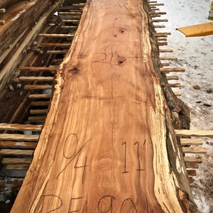 Beech | Live edge wood | Reclaimed wood slabs | Kiln dried wood for sale | Trusted wood suppliers | Woodworking source