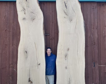 13 Foot White Oak wood slabs