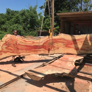 Live edge table