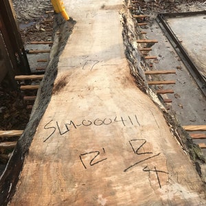 Maple | live edge wood | reclaimed wood slabs | kiln dried wood for sale | trusted wood suppliers | woodworking source
