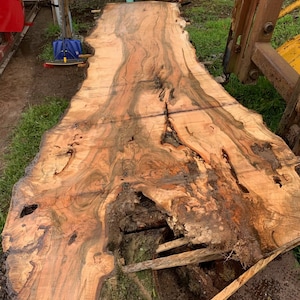 Live edge Wood Slabs. LARGE