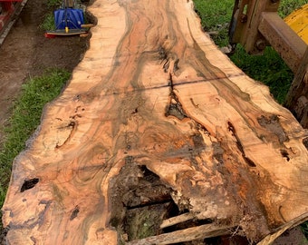 Live edge Wood Slabs. LARGE