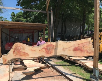 Box Elder | Live edge wood | Reclaimed wood slabs | Kiln dried wood for sale | Trusted wood suppliers | Woodworking source