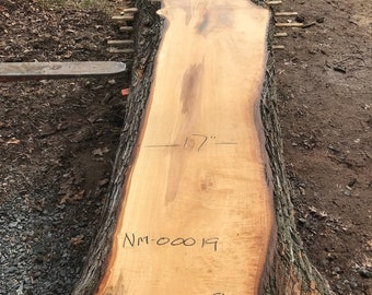 Norwegian Maple | Live edge wood | Reclaimed wood slabs | Kiln dried wood for sale | Trusted wood suppliers | Woodworking source