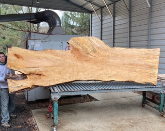 Maple | Live edge wood | Reclaimed wood slabs | kiln dried wood for sale | Trusted wood suppliers | Woodworking source