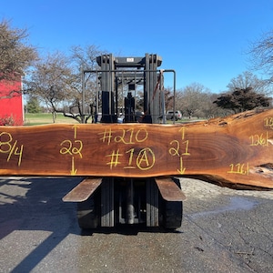 Black Walnut | Live edge Wood | Reclaimed wood Slabs | kiln dried wood for sale | Trusted wood suppliers | Woodworking source