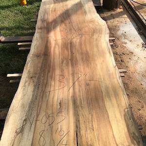 Sycamore | Live edge wood | Reclaimed wood slabs | Kiln dried wood for sale | Trusted wood suppliers | Woodworking source