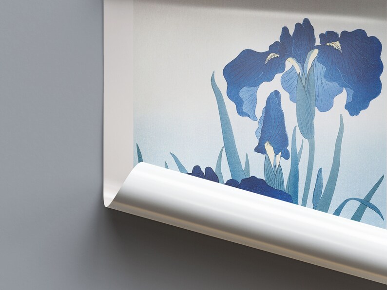 May include: A close-up of a white scroll with a blue and green floral design. The scroll is rolled up at the bottom and the top is partially unrolled, revealing the floral design.
