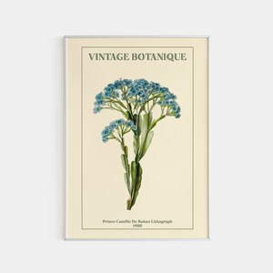 Botanical Print, Flower Market Poster, Printed Flower Poster, Matisse Flower Print, Florist Poster, Vintage Botanique, Print Size A2/A3/A4