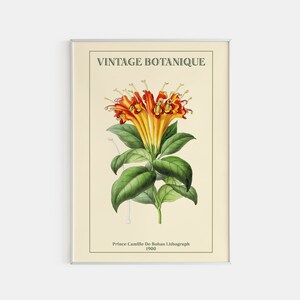 Botanical Print, Flower Market Poster, Printed Flower Poster, Matisse Flower Print, Florist Poster, Vintage Botanique, Print Size A2/A3/A4