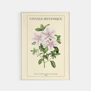 Botanical Print, Flower Market Poster, Printed Flower Poster, Matisse Flower Print, Florist Poster, Vintage Botanique, Print Size A2/A3/A4