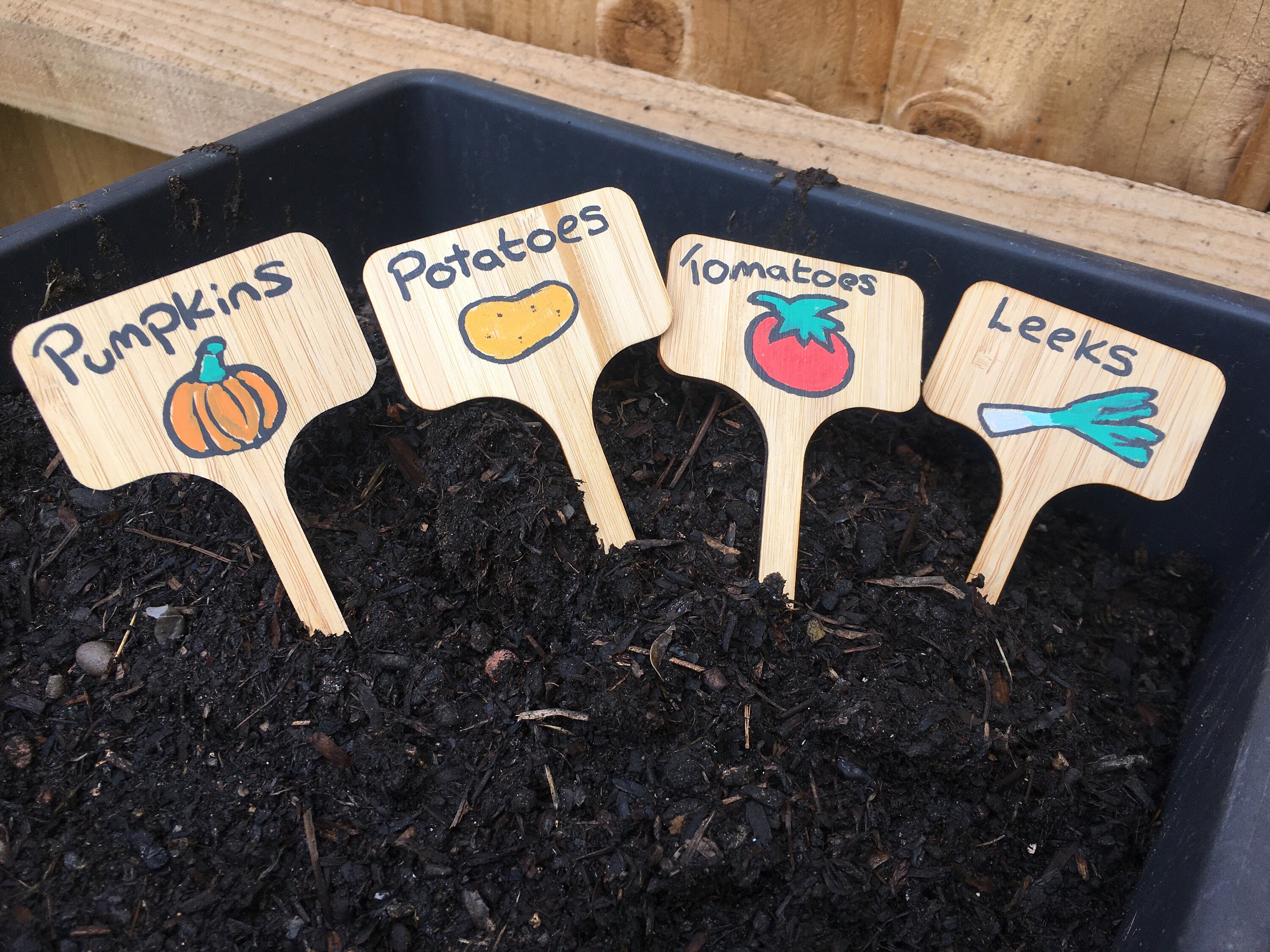 Vegetable patch plant markers Etsy