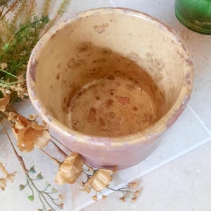 May include: A yellow ceramic planter with a speckled glaze. The planter has a round shape and a wide opening.