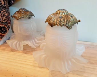 Vintage French Glass Flower Pendant Light Shades: Mid-Century Pair