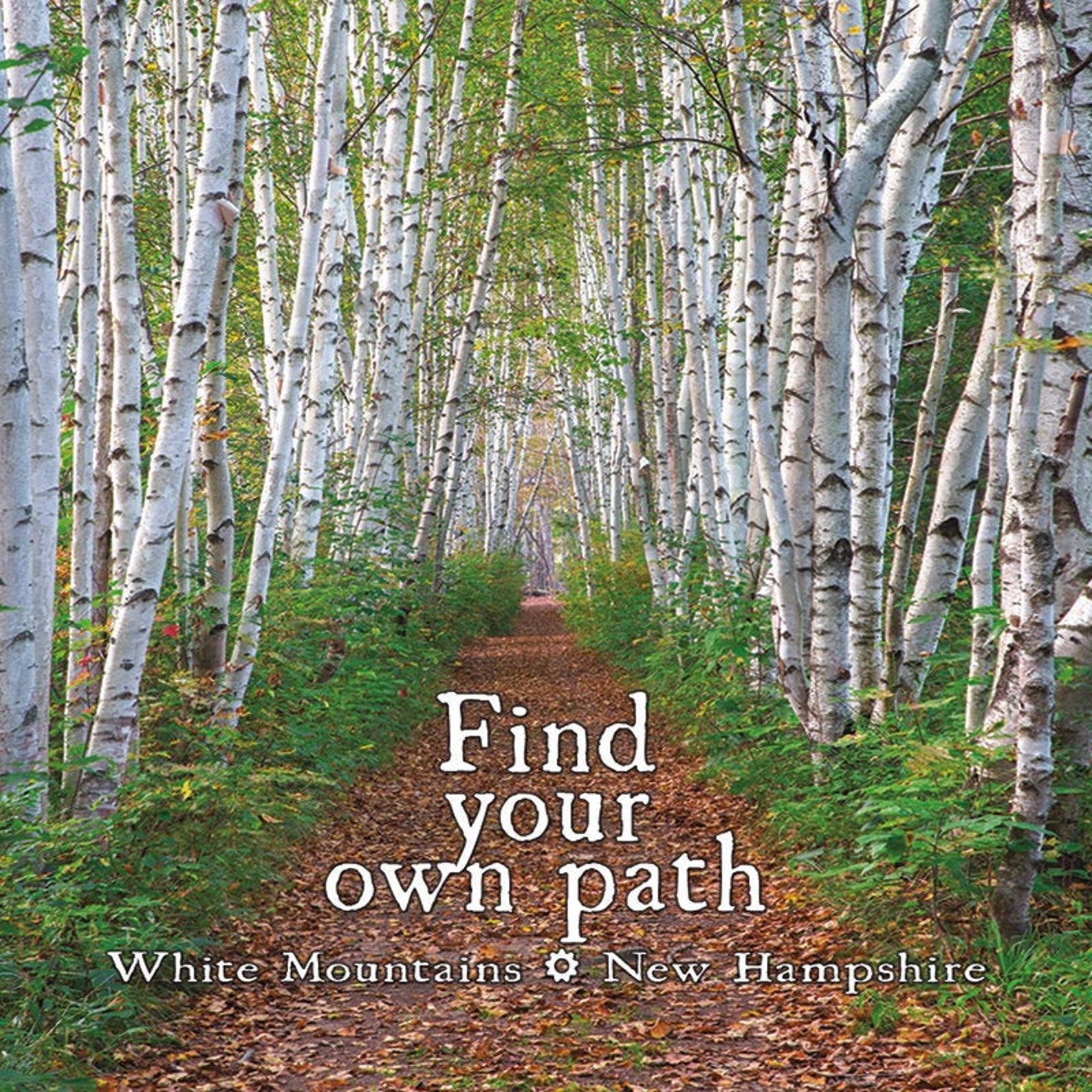 Find Your Own Birch Path 3.5 x 3.5 NH Made Etsy France