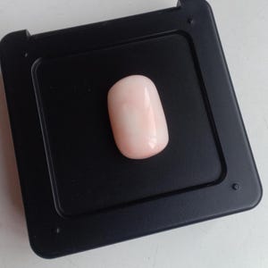 Red Coral