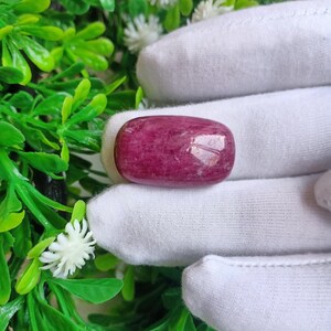 Könnte beinhalten: Ein polierter, oval geformter Edelstein in tiefen Rosa- und Rottönen. Der Stein hat eine glatte, reflektierende Oberfläche mit subtilen Farbvariationen. Der Edelstein wird in einem weißen Handschuh gehalten, mit grünem Laub und weißen Blüten im Hintergrund.