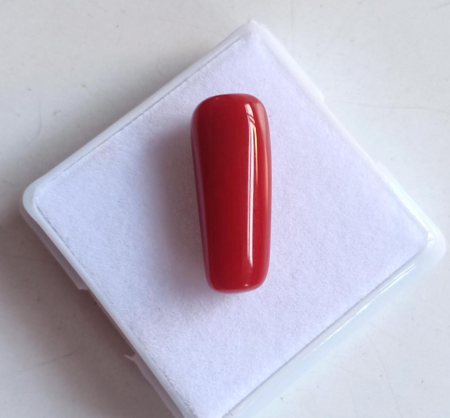 Cabochón De Corail Rouge Naturel Italiano - 2.10 Qt, 8.5mm, Para Joyería