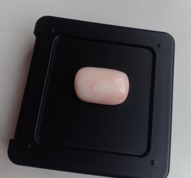 May include: A pale pink oval-shaped coral gemstone on a black display stand.
