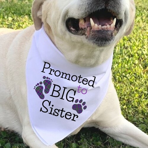 Big Sister Dog Bandana Etsy