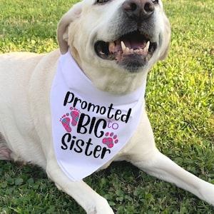 Big Sister Dog Bandana, Dog Baby Announcement, Promoted To Big Sister, Dog Bandanna Pregnancy Announcement