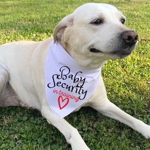 Dog Pregnancy Announcement, Baby Security In Traning, Dog Baby Announcement, Pregnancy Announcement, Pregnancy Reveal Dog Bandana image 1