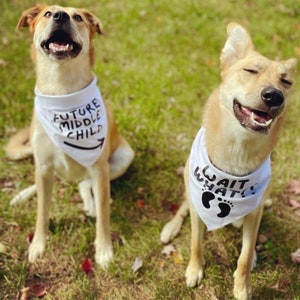 Dog Bandana Pregnancy Announcement, Set of 2 dog bandanas- Future Middle Child, Wait What?!
