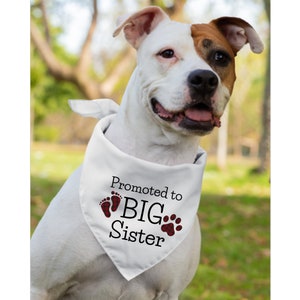 Dog Pregnancy Announcement, Big Sister Dog Bandana, Dog Baby Announcement, Promoted To Big Sister, Dog Bandanna Pregnancy Announcement