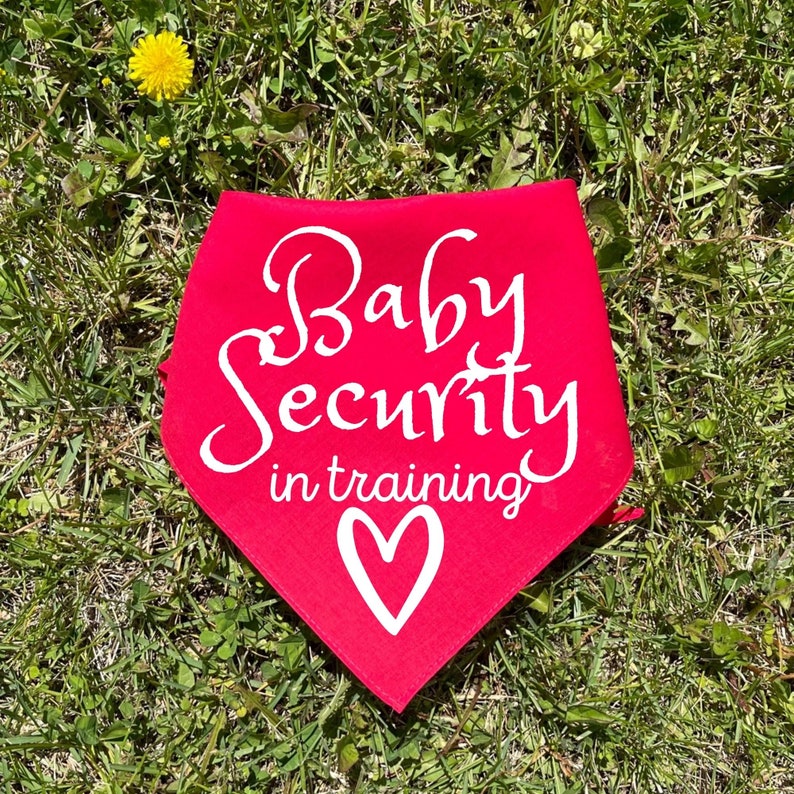 Dog Pregnancy Announcement, Baby Security In Traning, Dog Baby Announcement, Pregnancy Announcement, Pregnancy Reveal Dog Bandana Red