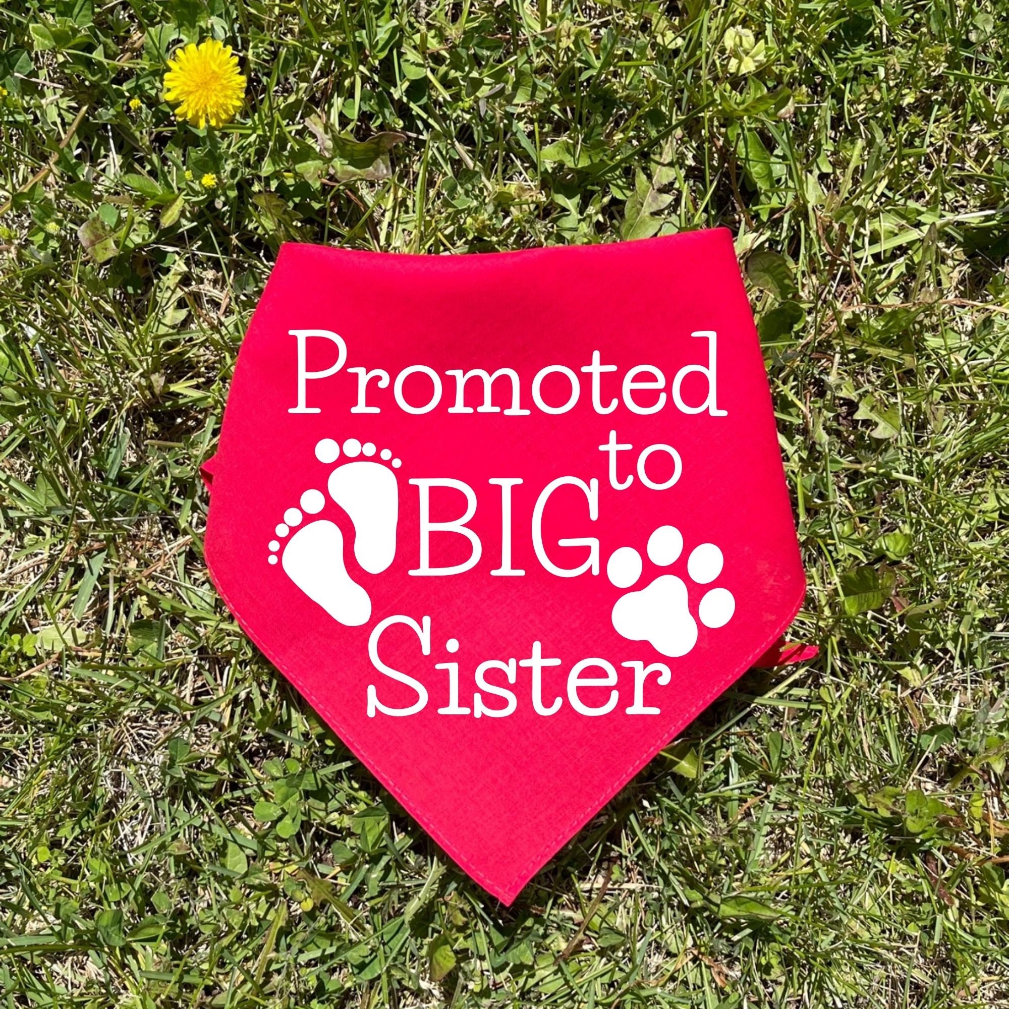 Big Sister Dog Bandana Dog Baby Announcement Promoted To Big Etsy