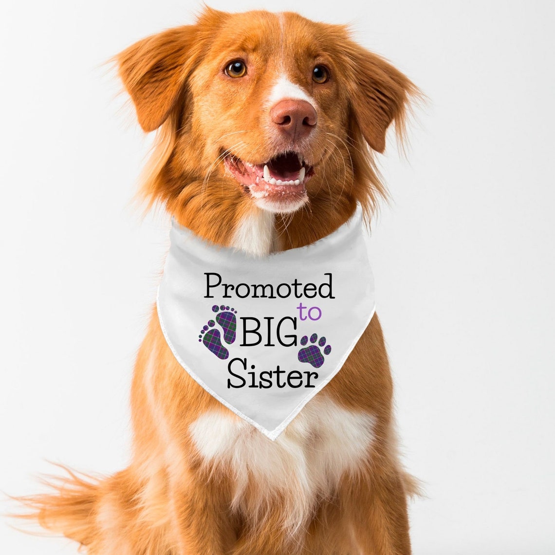 Big Sister Dog Bandana Dog Baby Announcement Promoted to Big Etsy