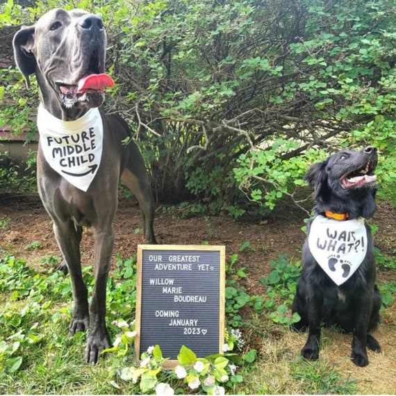 Pregnancy Announcement Big Sister Dog Bandana, Dog Bandana Dog