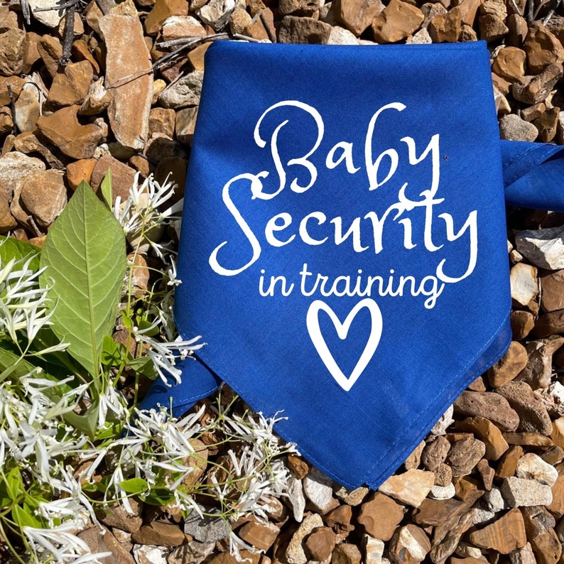 Dog Pregnancy Announcement, Baby Security In Traning, Dog Baby Announcement, Pregnancy Announcement, Pregnancy Reveal Dog Bandana Blue
