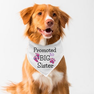 Big Sister Dog Bandana, Dog Baby Announcement, Promoted To Big Sister, Dog Bandanna Pregnancy Announcement