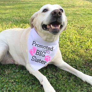 Big Sister Dog Bandana, Dog Baby Announcement, Promoted To Big Sister, Dog Bandana Pregnancy Announcement