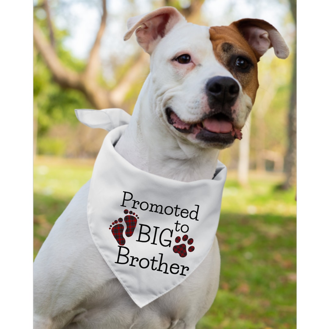 Promoted to Big Brother Dog Bandana, Dog Baby Announcement,dog — free download