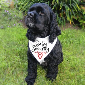 Dog Pregnancy Announcement, Baby Security In Traning, Dog Baby Announcement, Pregnancy Announcement, Pregnancy Reveal Dog Bandana image 2