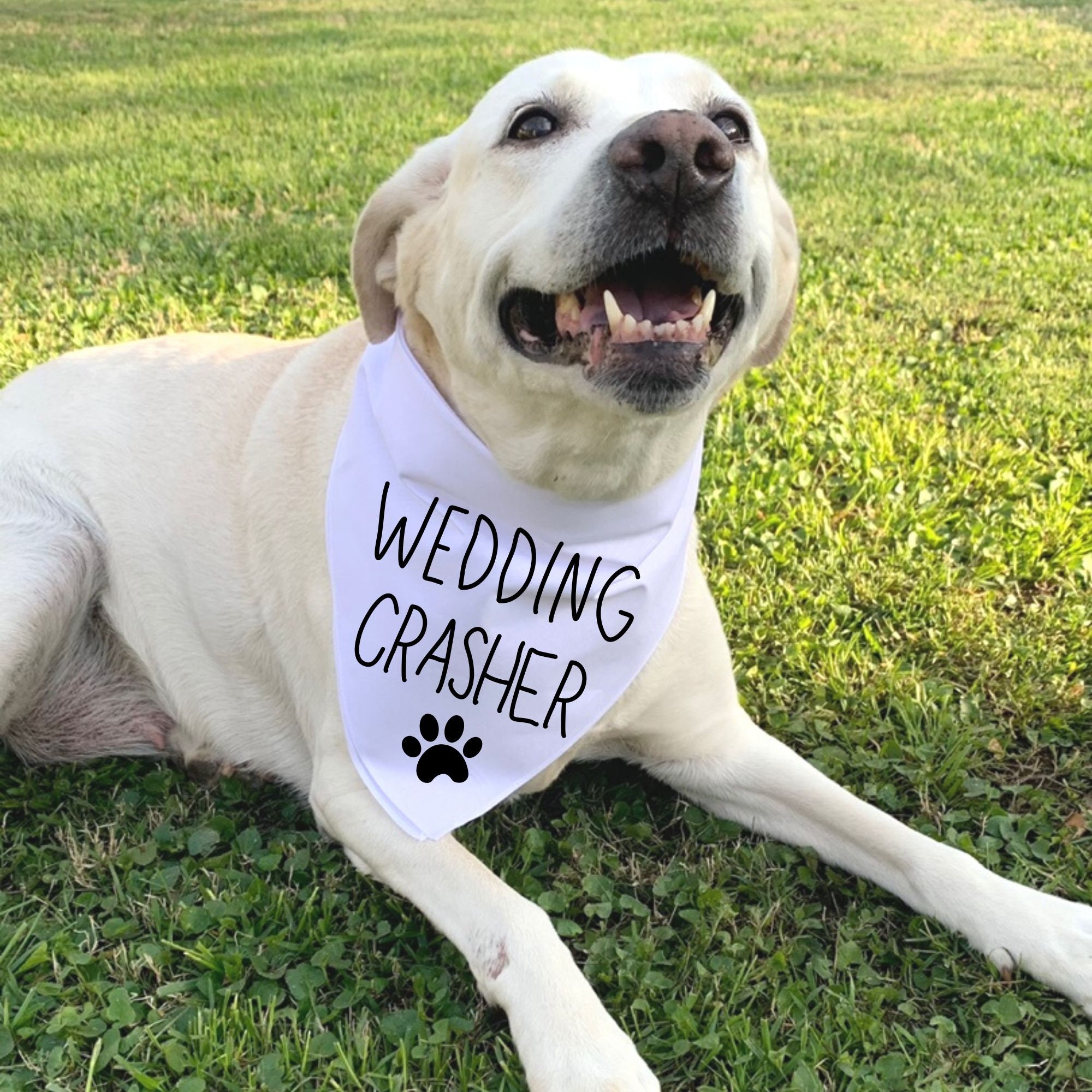 Wedding top dog bandana