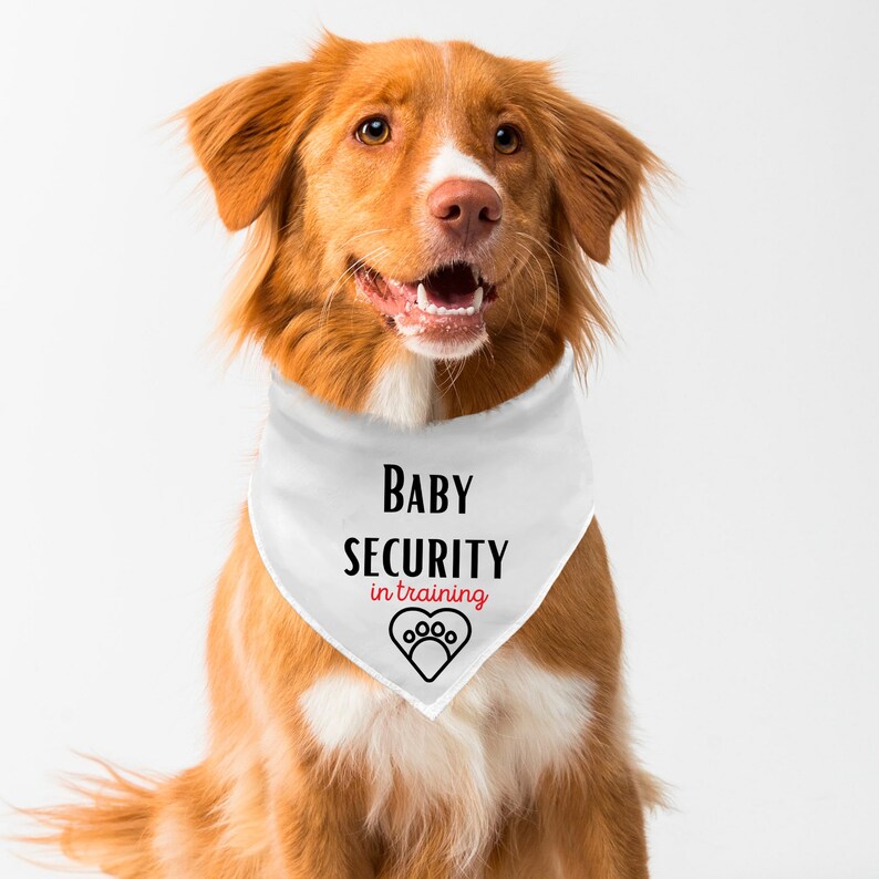 Dog Pregnancy Announcement Baby Announcement Pregnancy Etsy