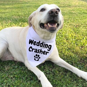 Wedding Crasher Dog Bandana, Wedding Announcement Dog Bandana, Engagement Announcement Dog Scarf, Wedding Dog Bandana