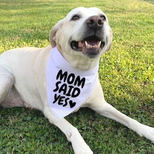 Mom Said Yes Dog Bandana, Wedding Announcement Dog Bandana, Engagement Announcement Dog Scarf, Wedding Dog Bandana, Bridal Gift