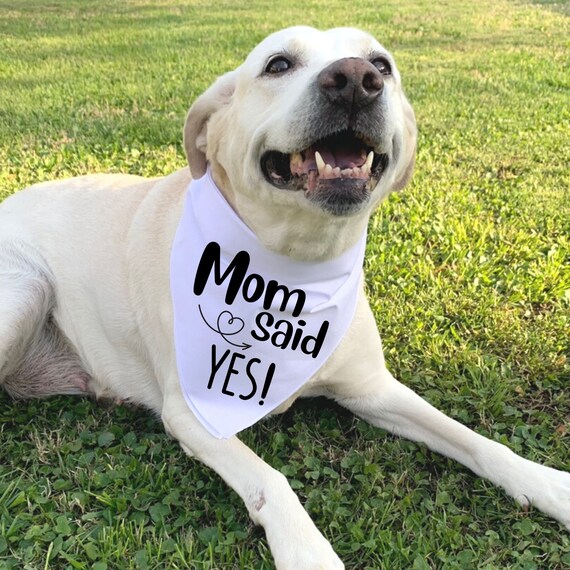 mom said yes dog bandana